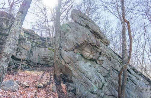 Lula Lake Cabin - Foto 10