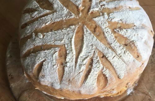 Holly Lodge, Gilchristland Organic Farm cottage - Foto 23