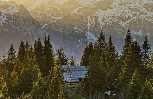 Koca Bistra - Velika planina - Foto 65