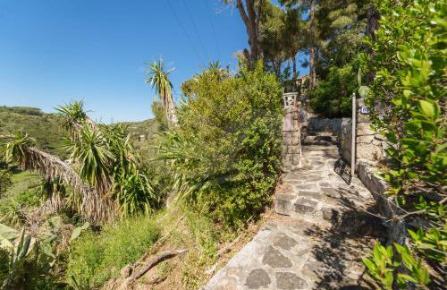 Casa dell'Asino - Goelba - Photo 22