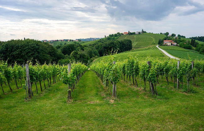 Ladybug House With Whirlpool - Foto 48