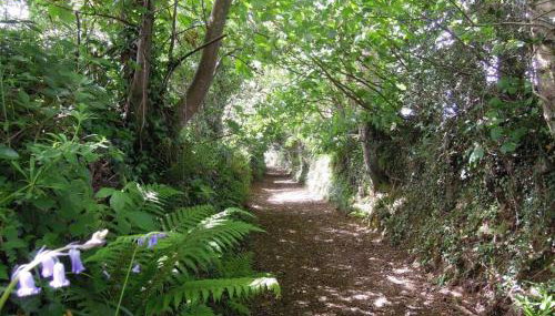 The Granary - Foto 5