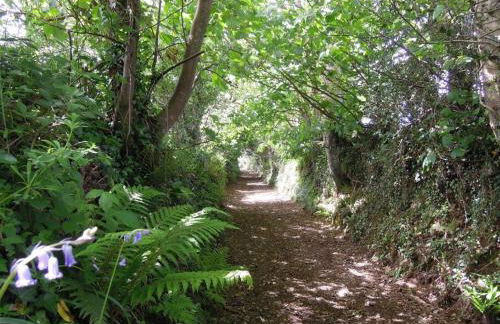 The Granary - Foto 5