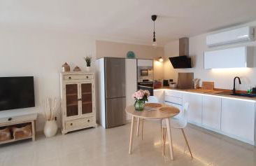 Erizo de mar - Foto 24