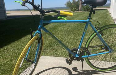 Fun, Fish, Crab - Birds, Beach & incredible Sunsets - Foto 60