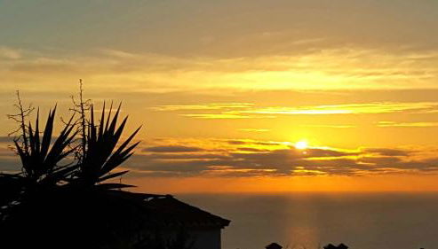 Apartamento Casa Francis - Foto 3