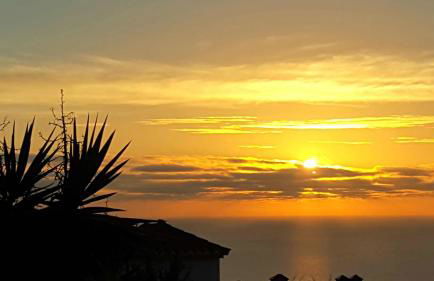 Apartamento Casa Francis - Foto 3