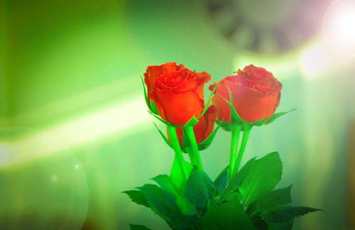 A&S Ferienwohnungen Roonstraße - Foto 10