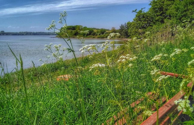 6 Person Holiday Home in Ronde - Foto 14