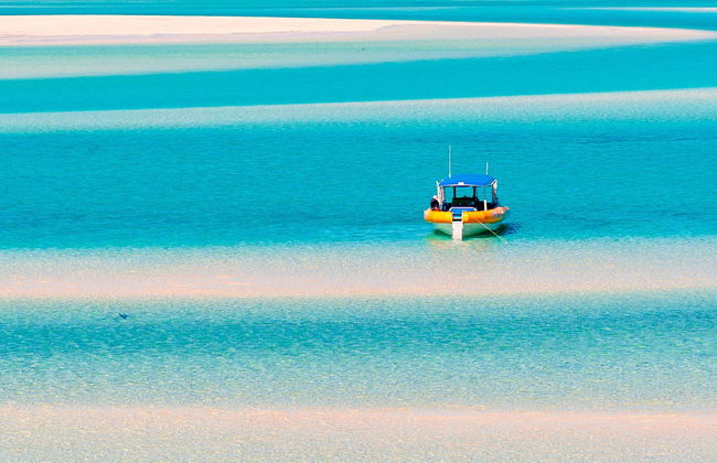 Excursión a la isla Whitsunday y Hook Island con snorkel - Foto 9