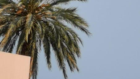 Casa Angeles - Foto 4