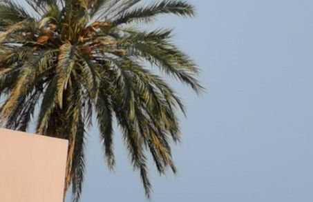 Casa Angeles - Foto 4