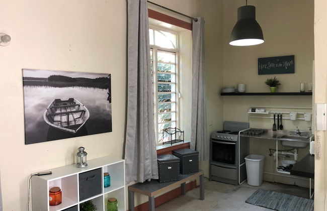 Gladiolas 1 209 - Foto 8