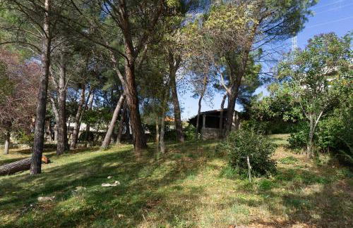 La Iglesuela - Photo 43