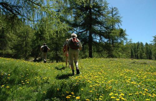 Georgenhöhe - Photo 71