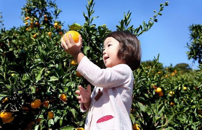 Hotel New Port Yokosuka - Foto 37