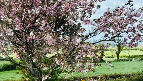 Eden Cottage - Foto 2