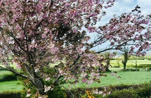 Eden Cottage - Foto 2