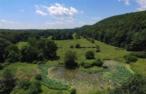 Chestnut Hill Farm - Foto 10