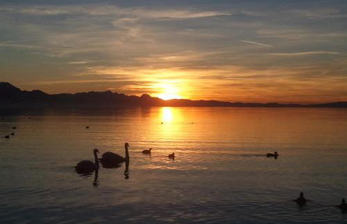 Mein Chalet - Foto 25