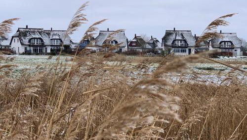 Achternkieker Comfortable Holiday Residence - Foto 4