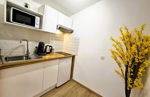 Tout confort ! Centre-ville, Climatisation, Parking, Wifi, Calme, TV - Foto 4