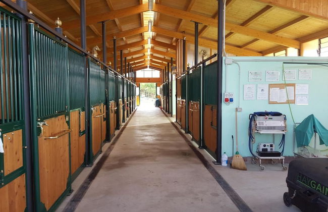 Allevamento B&B - Foto 46