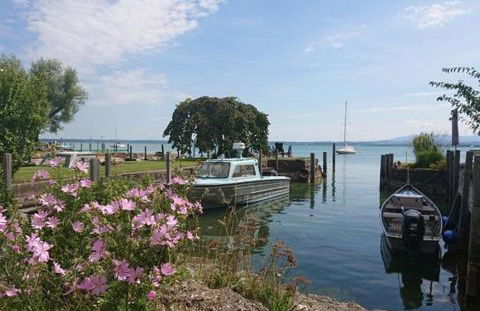 UNiQE I 95qm I Bergblick I Garten I BBQ I seenah - Foto 39