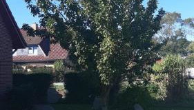 Haus Inselglück - Foto 3
