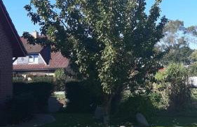 Haus Inselglück - Photo 3