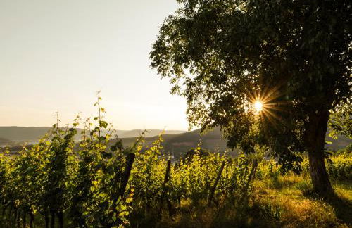 Bürgstadt, Am Bischof mit Sonnenterrasse, 1 bis 4 Betten - Foto 51