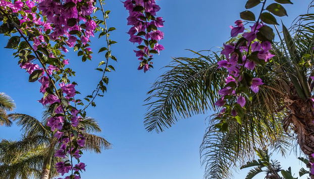 HG Lomo Blanco - Photo 3