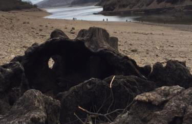 le grenier d'Annick - Foto 9