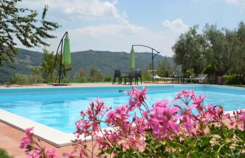Agriturismo Il Monte - Piscina tra gli Ulivi, Maneggio con Cavalli e WIFI - Foto 13