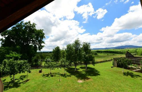 Apartman Jelena - Foto 35