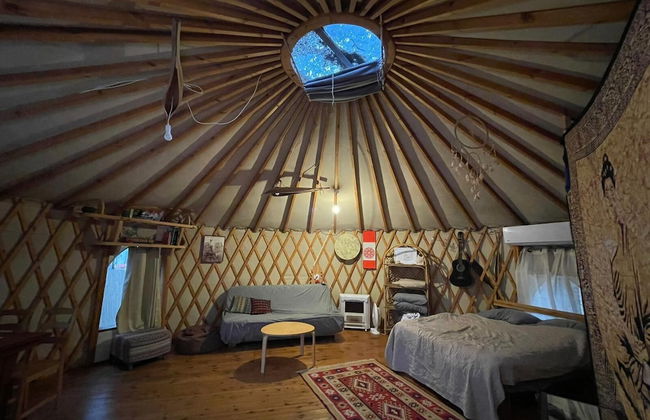 Yurt Located in a Little oak Grove - Foto 3