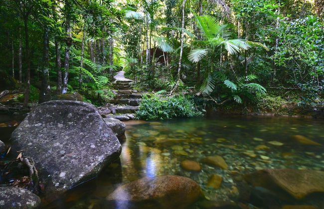 Daintree Cascades - Foto 47