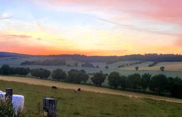 Ferienhaus Harzblick - Photo 19