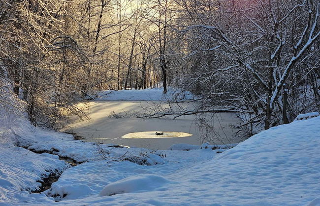 Timberfell Resort - Foto 9