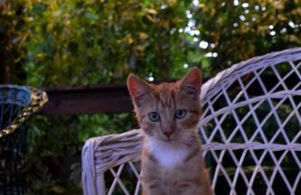 Na końcu świata - Foto 70