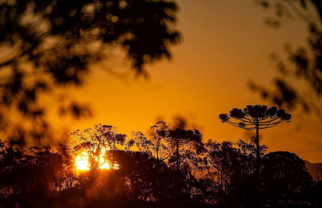 Kairos Glamping - Rancho Queimado - SC - Foto 24