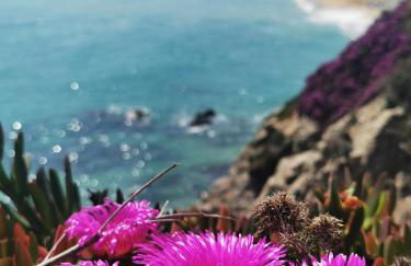 La LLar de la Kim, Bonita casa a 150m del mar y 40km de Barcelona - Foto 40