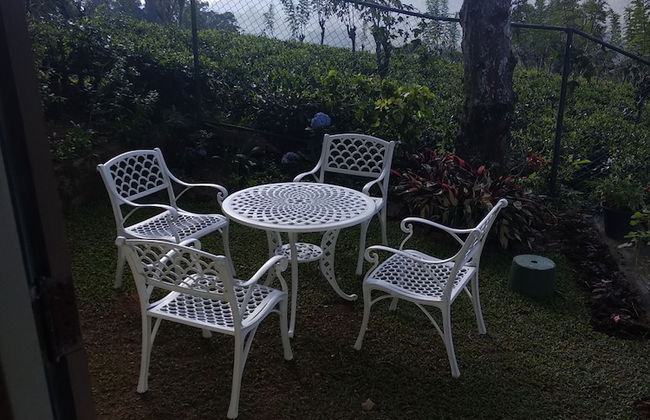 Windsor Forest Bungalow - Photo 30