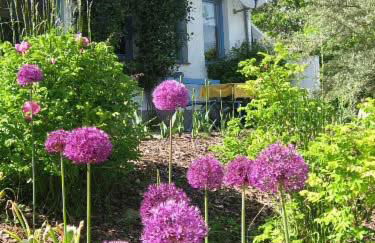 Landhaus Strietfeld-Ferienwohnung 1 - Foto 12