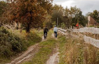 Zen Sasino - Foto 49