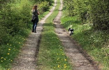 Apartment Am Fluss im Haus An der Rur - Foto 15