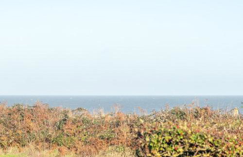 Chelsea Lodge - Aldeburgh Coastal Cottages - Foto 21