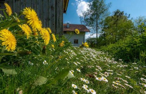 Ferienhaus Schlierachtal - Foto 9