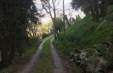 Los Acebos de Peña Cabarga, Cúpula experiencias - Foto 6