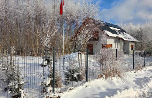 Willa w Brzozach Sznurki Spokojna 1 - Chmielno, Kaszuby, dom, jezioro - Foto 37